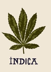 Indica vs Sativa