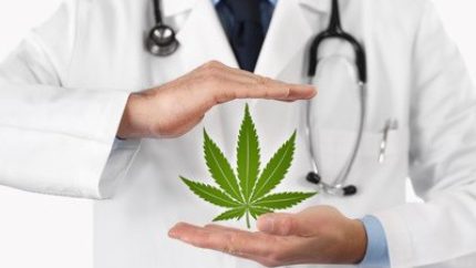 Top Medical Marijuana Strains